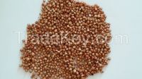 RED SORGHUM