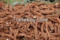 WE EXPORT ANY VARIETIES OF CASSAVA TO ANY COUNTRY