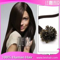 100% human remy hair cheap pre-bond u tip human hair extension
