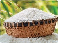 Sell Vietnam White Long Grain Rice 10%Broken Best Price