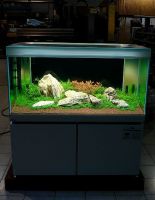 sales of aquarium