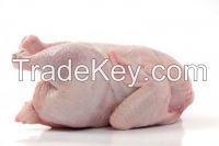 Halal Whole Frozen Chicken