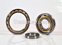 Deep groove ball bearing-60 series