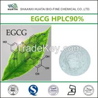 green tea extract EGCG powder for body shaping