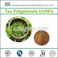 green tea extract tea polyphenols 98% powder for weight loss