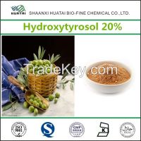 Natural Chinese Herbal Medicine olive leaf extract Hydroxytyrosol 20% powder