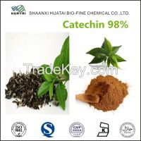 natural organic green tea extract catechin powder