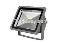 Warm White 50W COB Lamp High Power LED Flood Light Brightest IP66 Lawn Lamp