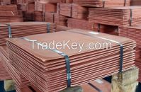 Best Quality Copper ingots.