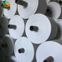 30-80cm width white pp woven bag rolls for sale