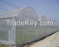 tunnel greenhouse