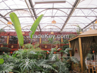 Sightseeing and Leisure Greenhouse