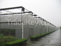 Multi-Span  Film Greenhouse