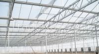 Steel Structure in Agricultural Greenhouse