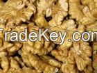 Walnut & walnut kernels