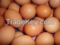 Fresh Chicken Eggs/white and brown table eggs.