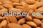 Almonds / Almond nut /Almonds kernel