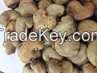 Roasted Cashew /Cashew Nuts/ Cashew Kernels ww240/ ww320/ ws/ lp