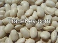 White Kidney Beans Grade A (Long Shape& Round) White Kidney Beans White Kidney Beans