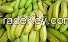 Fresh Cavendish Banana