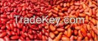 RED KIDNEY BEANS