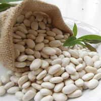 White Kidney Bean Extract