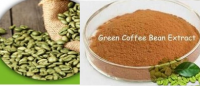 Green Coffee Bean Extract (Chlorogenic Acid 45% & 50%)