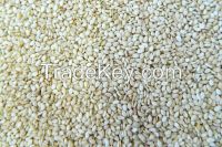 Sell Sesame seeds