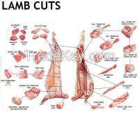 Sheep Meat (mutton)/ beet meat and others for sale