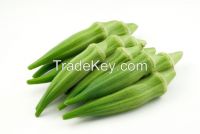 New Crop Frozen IQF Okra