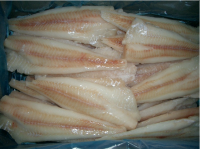 Alaska Pollock