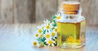 Chamomile Oil