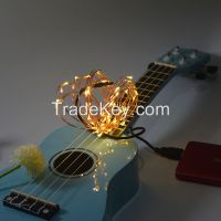 Warm White Party and Holiday Decoration Rice Fairy String Lights
