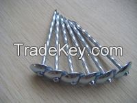 large supply of roofing nails