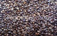 Dried Cocoa Beans