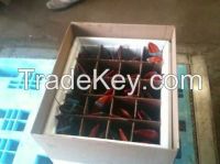 Sell of best qualityFrozen Lobster