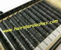 Siberian Mink Eyelash Extensions