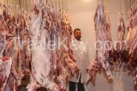 Halal Goat Carcass