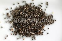 CHIA SEEDS