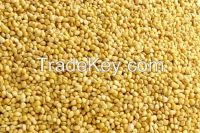 Yellow Millet