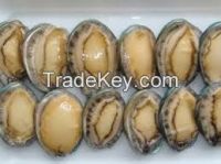 Frozen Abalone shell
