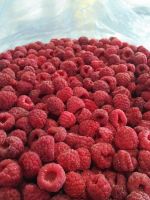 IQF raspberries, organic or conventional