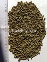 MUNG BEANS