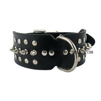 leather dog collar(SC-3006)