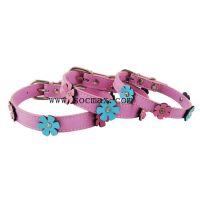 flower dog collar(SC-6001)