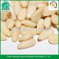 Chinese raw shelled pine nuts prices pignoli