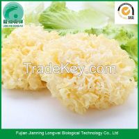 Chinese dried white jelly fungus soup and drink