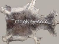 Wet/Dry salted Donkey Hides/ Cow Hides/ Sheep Hides and Bull Hides
