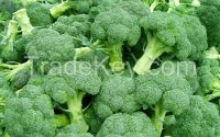 2014 new crop fresh Frozen Broccoli floret
