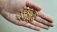 Sell Salted Sunflower seed snack original